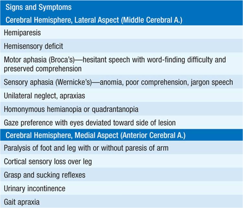 Stroke symptoms and prevention guide