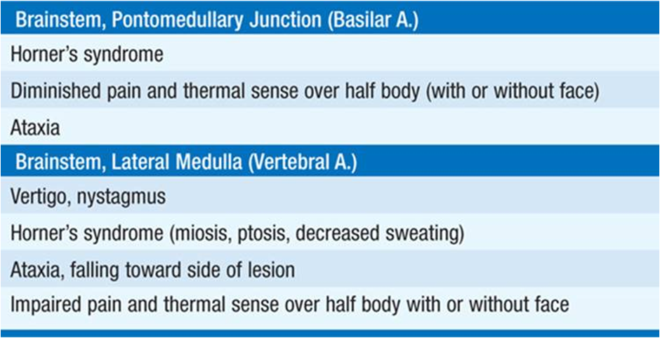 Stroke symptoms and prevention guide