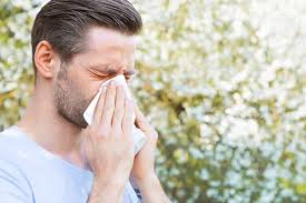 images Common triggers like pollen and dust that cause allergic rhinitis.