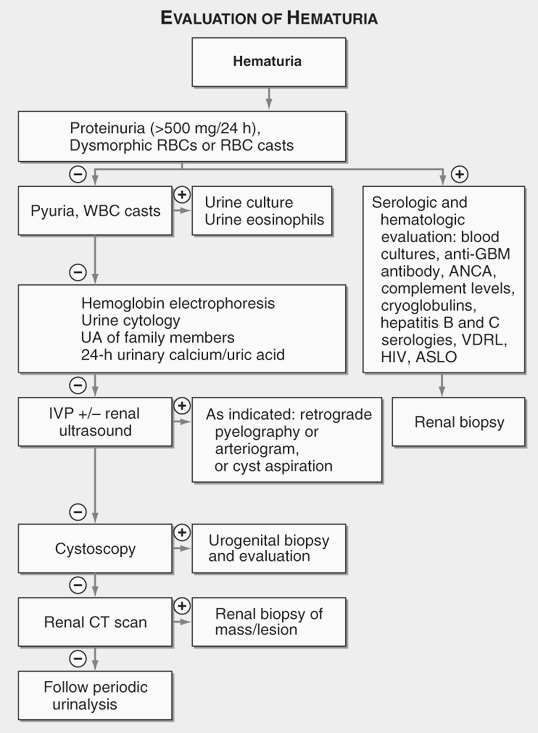 Evaluation of Hematuria